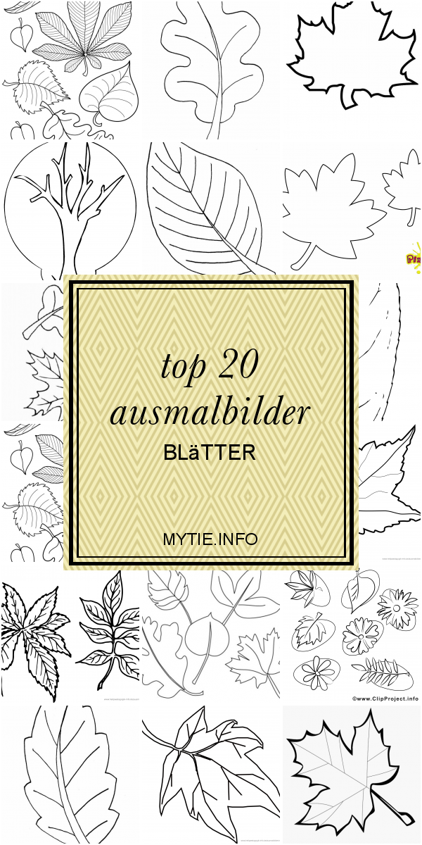 Top 20 Ausmalbilder Blätter